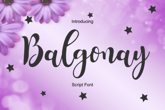 Boost Your Campaigns with Balgonay